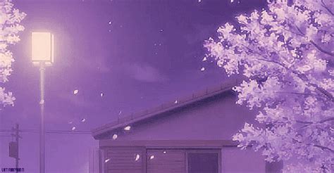 aesthetic anime gif|soft aesthetic anime gif.